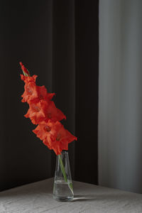 Close-up of flower on table at home