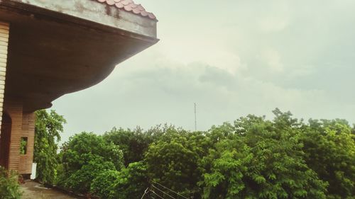 Trees in city against cloudy sky