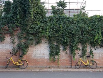 Bicycle against wall