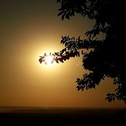 Silhouette tree by sea against clear sky during sunset