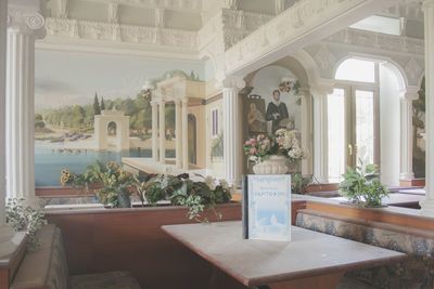 Potted plants on table by window at home