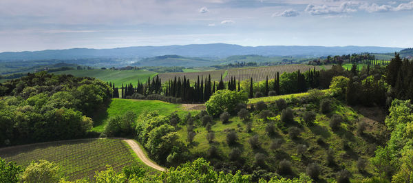 Scenic view of landscape against sky