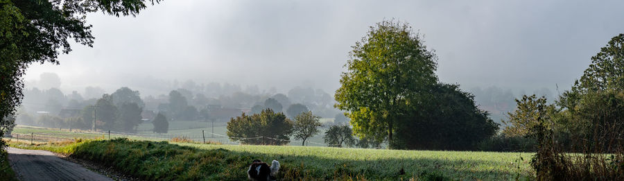 Scenic view of landscape against sky