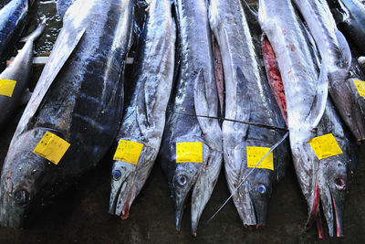 Close-up of fishes for sale in market