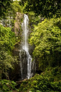 View of waterfall in forest