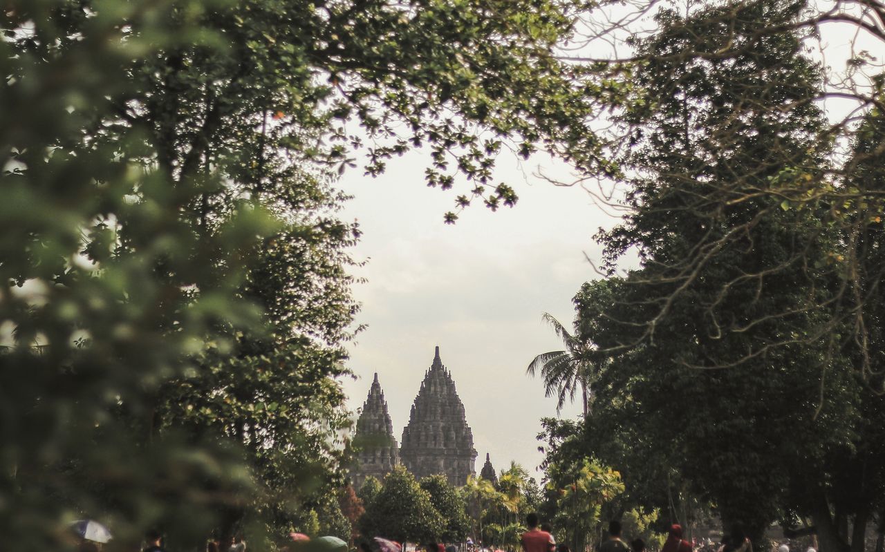 PANORAMIC VIEW OF TREES AND BUILDINGS