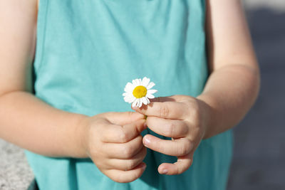 Midsection of a girl holding daisy flower