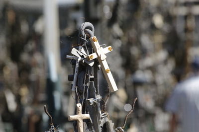 Close-up of padlocks hanging on metal