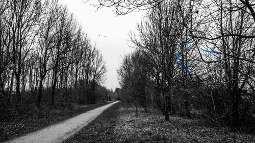 Road amidst bare trees in forest against sky