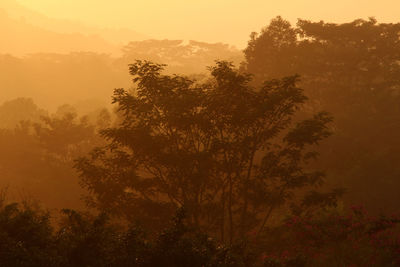 Silhouette trees against sky during sunset