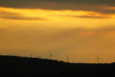 Rural landscape at sunset