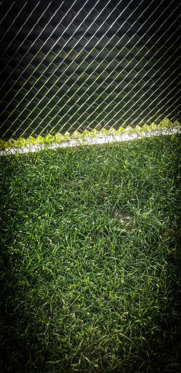 SOCCER FIELD AT NIGHT