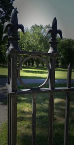 Trees in park