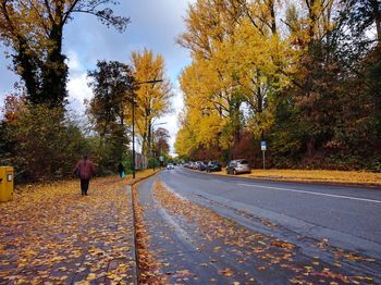 Man walking on road amidst autumn trees