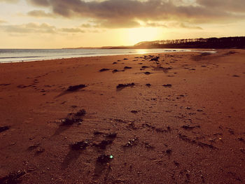 Scenic view of beach during sunset