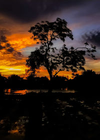 Silhouette trees by lake against sky during sunset