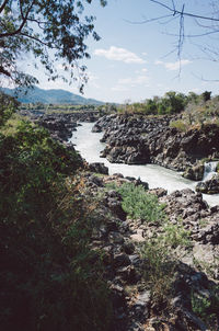 Scenic view of river against sky