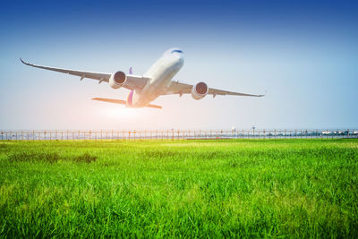 Airplane flying over field against clear sky