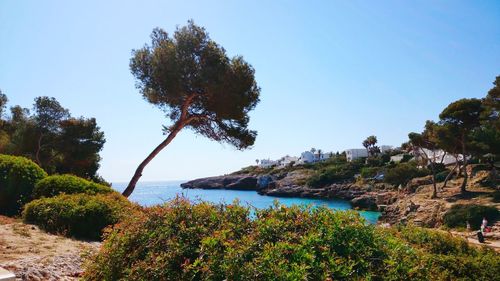 Scenic view of calm sea against clear sky