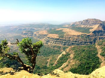 Scenic view of tree mountains against clear sky