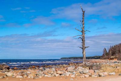 Scenic view of beach against sky