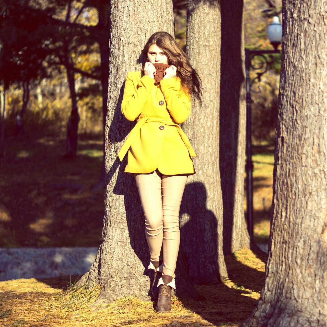 lifestyles, standing, leisure activity, casual clothing, young adult, tree trunk, tree, young women, front view, full length, holding, person, focus on foreground, three quarter length, dress, outdoors, day