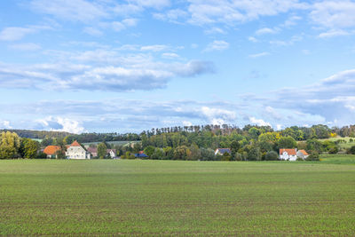 Scenic view of agricultural field against sky