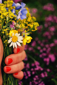 Close-up of hand holding flowers