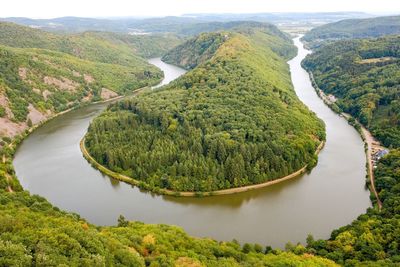 High angle view of river amidst trees