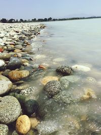 Close-up of pebbles on beach against sky