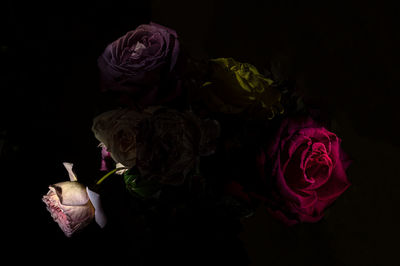 Close-up of rose bouquet against black background