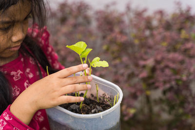 Close-up of woman holding plant