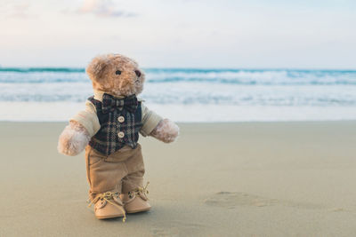 Full length of boy on beach