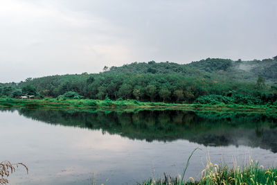 Scenic view of lake by trees against sky