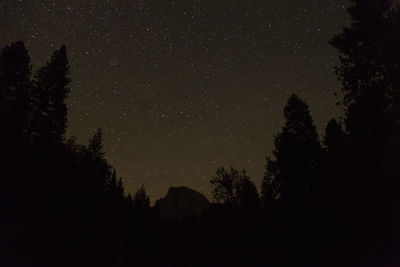 Low angle view of silhouette trees against sky at night