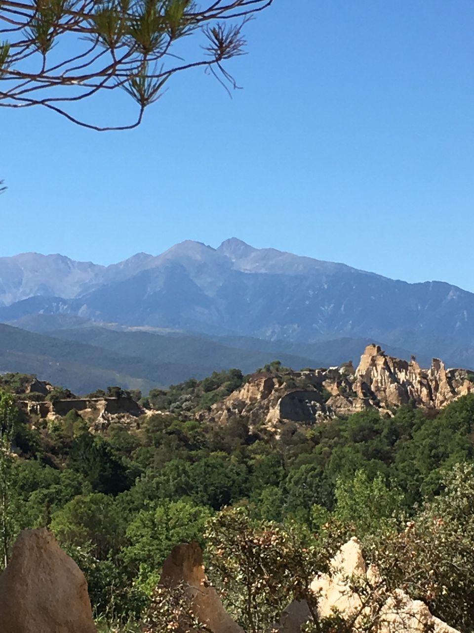 mountain, clear sky, scenics, mountain range, tree, tranquil scene, landscape, blue, travel destinations, beauty in nature, tranquility, idyllic, non-urban scene, tourism, nature, physical geography, majestic, vacations, day, growth, valley, green color, remote, outdoors, geology, countryside, solitude, distant, lush foliage, no people, green