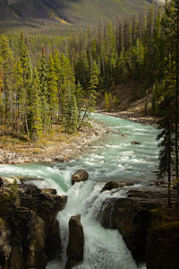 wilderness