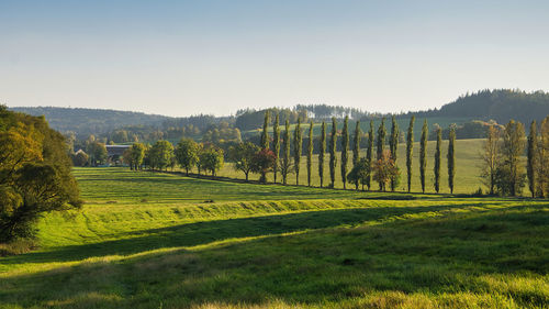 Scenic view of field against clear sky