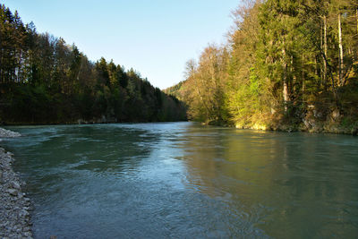 Scenic view of river amidst trees against clear sky