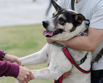 Close-up of man with dog