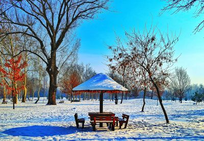 Bare trees on snowy field against clear sky during winter