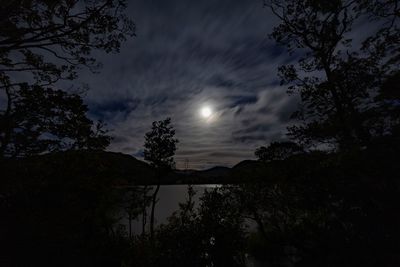 Low angle view of silhouette trees against sky at night