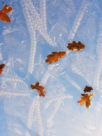 High angle view of autumn leaves on snow field