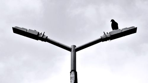 Low angle view of bird perching on pole against sky