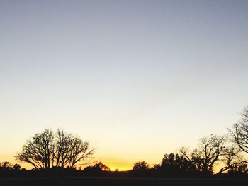 Silhouette trees against clear sky during sunset