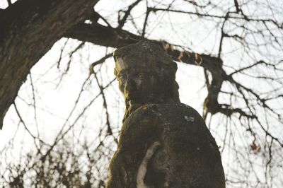 Low angle view of bare tree against sky