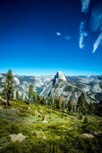 View of trees on landscape against blue sky