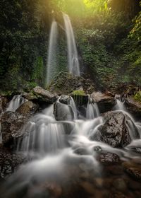 Scenic view of waterfall in forest