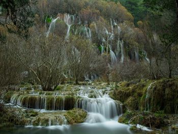 Scenic view of waterfall in forest