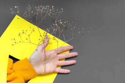 Close-up of hand holding yellow paper over white background